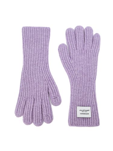 Finger Hole] Wool Cashmere Gloves_Violet Melange - JILLSTUART - Modalova