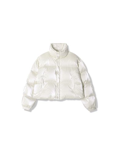 Siberia Stella Crop Padding (White) - AVANDRESS - Modalova