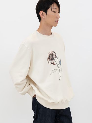 Rusted Flutters Sweatshirt - Beige - IOEDLE - Modalova