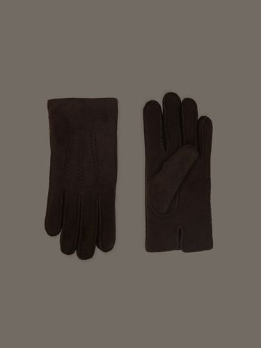 Suede Gloves - SAGEMENT - Modalova