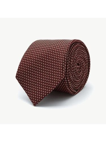 Solid Like Tie (Red) - STCO - Modalova