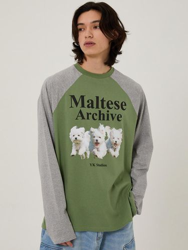 Maltese Archive Raglan Long Sleeves T-Shirt - WAIKEI - Modalova