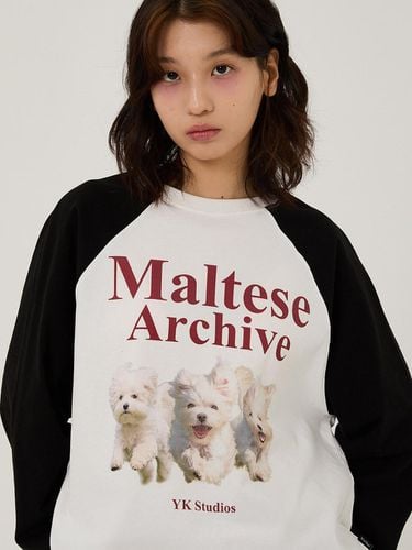 Maltese Archive Raglan Long Sleeves T-Shirt - WAIKEI - Modalova