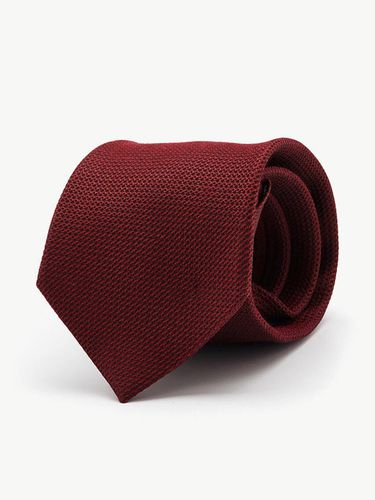 Solid Zipper Tie (Red) - STCO - Modalova