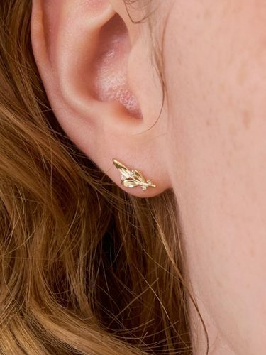 K Twinkle Leaf Stud Earrings - BARA DU - Modalova