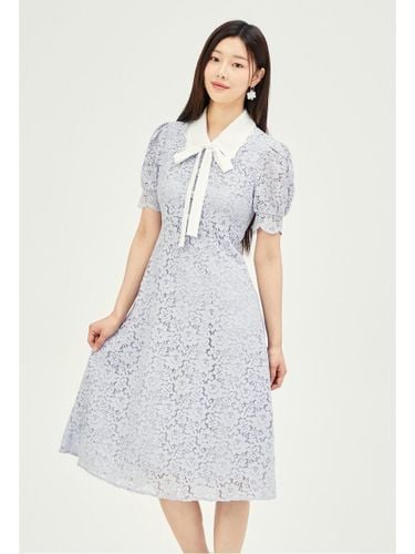 Lace Coloring Collar Flare Dress GP4P0OP461 - JJ JIGOTT - Modalova