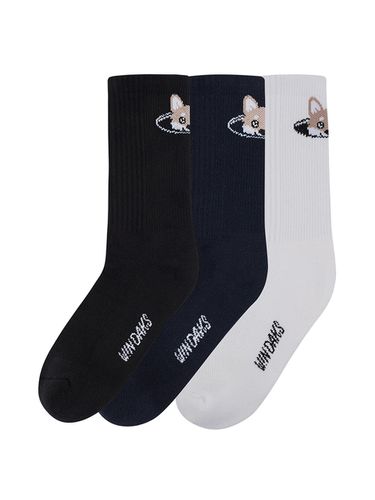 X Windaks Spacecraft Golf 3SET Socks - bensherman - Modalova