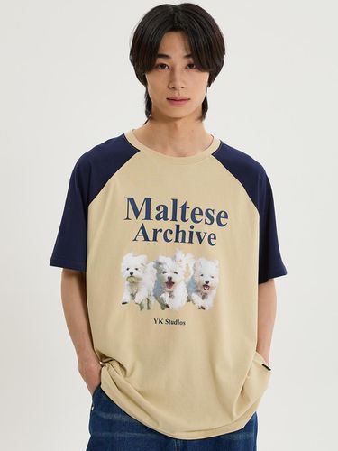 Maltese Archive Raglan T-shirt_Beige - WAIKEI - Modalova