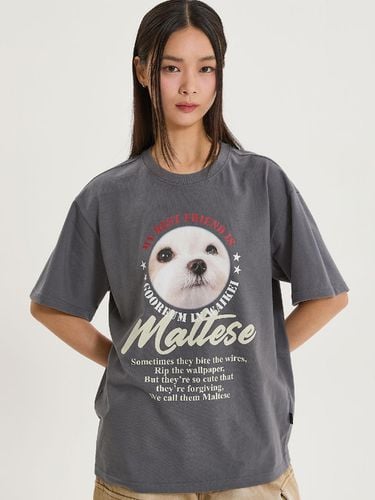 Maltese ZOOM IN T-shirt_Charcoal - WAIKEI - Modalova