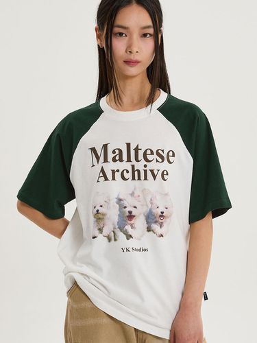 Maltese Archive Raglan T-shirt_Green - WAIKEI - Modalova