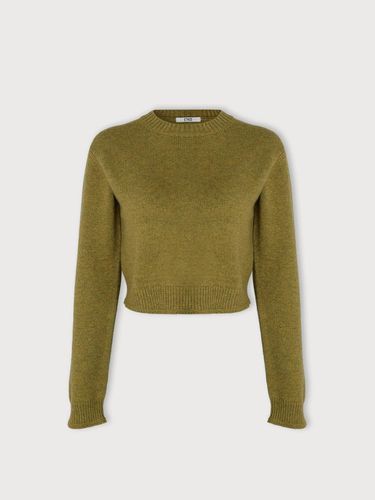 SOFTLY CROP KNIT (4 COLORS) - Ethos - Modalova