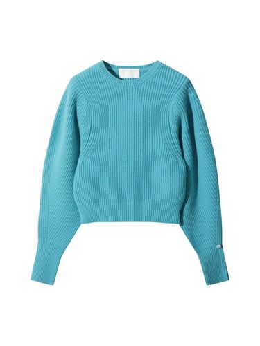 Volume Sleeve Sweater ()_D5WAW24103BUX - LE CASHMERE - Modalova