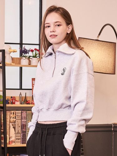 Half Zip-Up Cropped Sweat Shirt Gray - Awesomestudio - Modalova