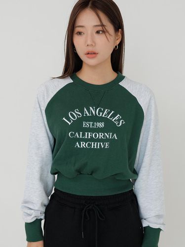 Raglan Lettering Embroidered Cropped Sweat Shirt D - Awesomestudio - Modalova