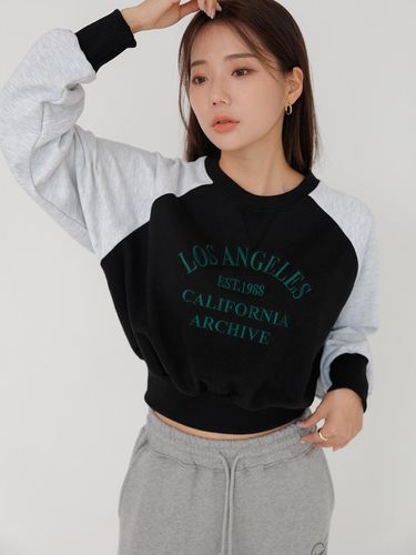 Raglan Lettering Embroidered Cropped Sweat Shirt - Awesomestudio - Modalova