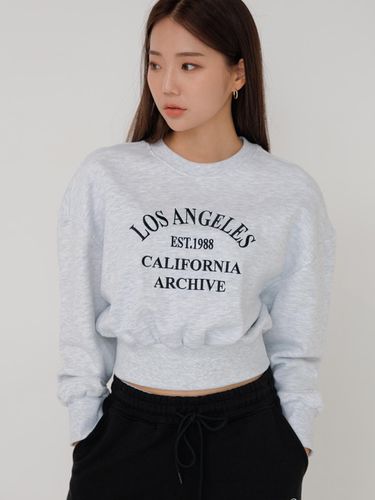 Lettering Embroidered Cropped Sweat Shirt Gray Whi - Awesomestudio - Modalova