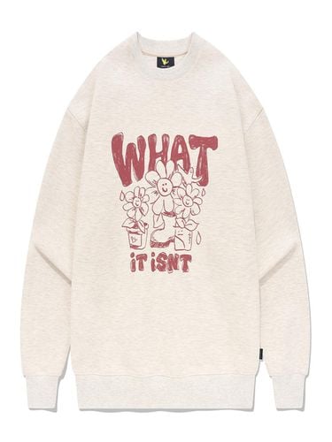 WT Friends sweatshirt light brown - Wacky Willy - Modalova