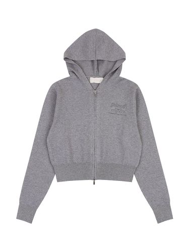 Soft Hooded Zip-Up Cardigan [GRAY] - DELICCENT - Modalova