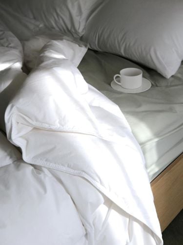 Hotel Bedding All-Season Comforter - PROJECT SLEEP - Modalova