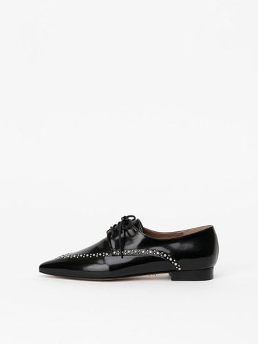 Wilhelmina Studded Oxfords in BLACK - CHAUSSURE LAPIN - Modalova