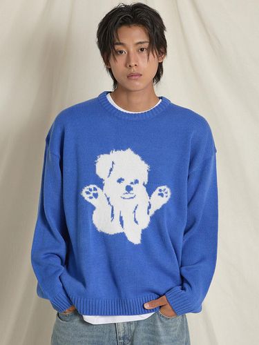 Hairy Maltese Graphic Knit Blue - WAIKEI - Modalova