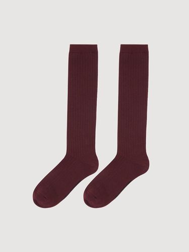 Basic Corduroy Knee Socks - LUCKY CHOUETTE - Modalova