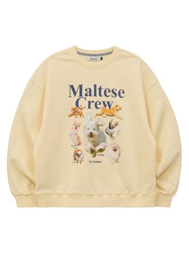 Maltese crew sweatshirt light - WAIKEI - Modalova