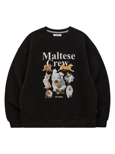 Maltese crew sweatshirt black - WAIKEI - Modalova