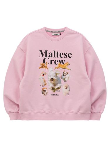 Maltese crew sweatshirt light pink - WAIKEI - Modalova