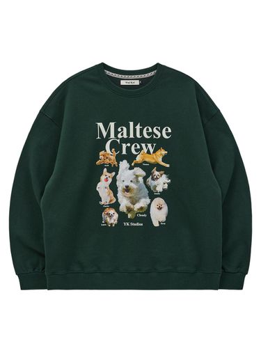 Maltese crew sweatshirt green - WAIKEI - Modalova