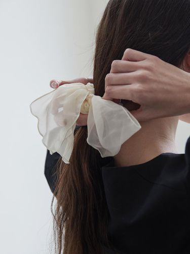 Sheer ribbon scrunchie - 2colors - BEMUSE MANSION - Modalova