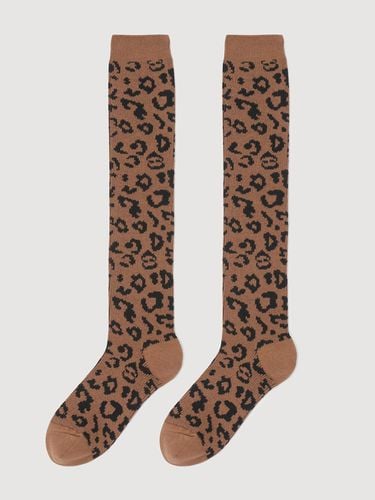 Brown Knee Socks_LXLAW24320CMX - LUCKY CHOUETTE - Modalova