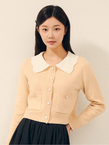 Scallop Contrast Collar Cropped Cardigan - JJ JIGOTT - Modalova