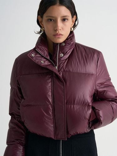 Glossy Cropped Down Padding Jacket [Burgundy] - MAGJAY - Modalova