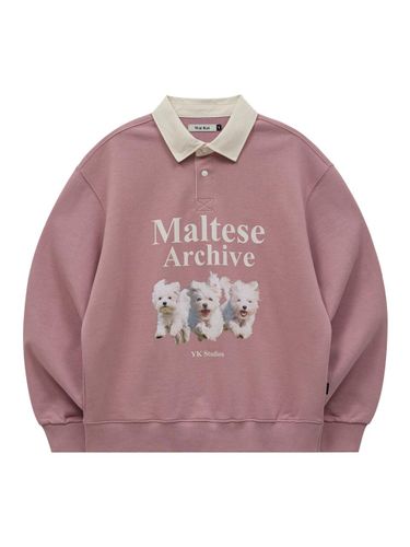 Maltese Cloud Raglan Sweatshirt [Ivory] - WAIKEI - Modalova