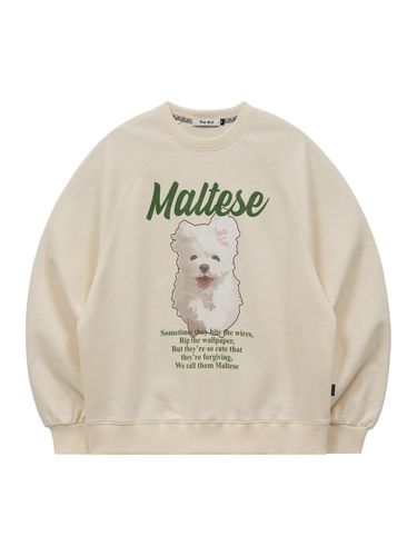 Maltese Archive Cotton Oversized Sweatshirt [Pink] - WAIKEI - Modalova