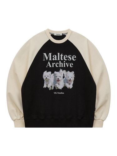 Maltese Archive Oversized Raglan Sweatshirt [Black] - WAIKEI - Modalova