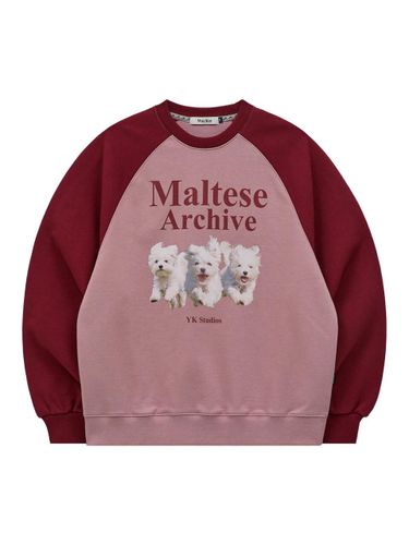 Maltese Archive Raglan Cotton-Poly Sweatshirt [Pink] - WAIKEI - Modalova