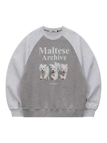 Maltese Archive Raglan Oversized Sweatshirt [Grey] - WAIKEI - Modalova