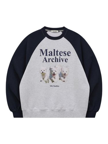 Maltese Archive Raglan Overfit Sweatshirt [Melange Beige] - WAIKEI - Modalova