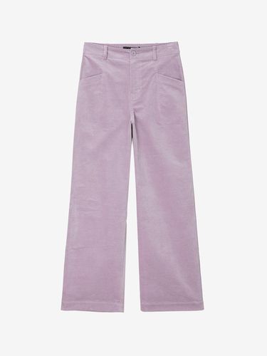 Velvet wide pants JXPT729E - Jucy Judy - Modalova