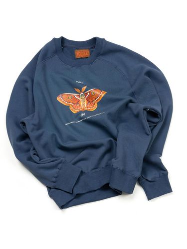 Cotton French Terry Raglan Sweatshirt [Navy] - IOEDLE - Modalova