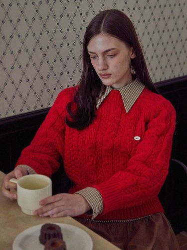 STANDARD FIT CABLE KNIT_3COLORS_RED - HAINT - Modalova