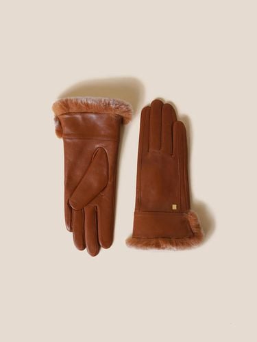 Vety Fur Gloves (Brown)_RCHAX24641BRX - COURONNE - Modalova