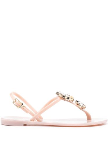 CASADEI - Jelly Thong Sandals - Casadei - Modalova