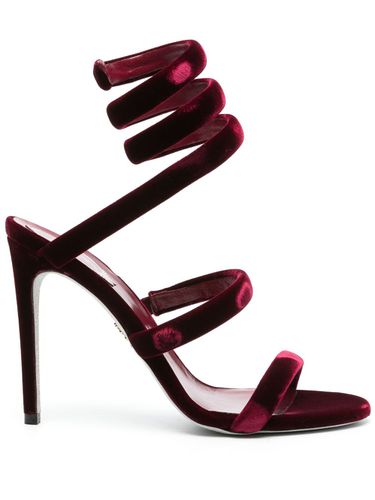 RENÉ CAOVILLA - Cleo Velvet Sandals - René Caovilla - Modalova