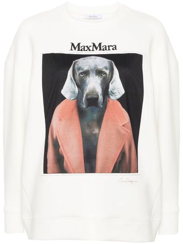 Printed Cotton Sweatshirt - Max Mara - Modalova