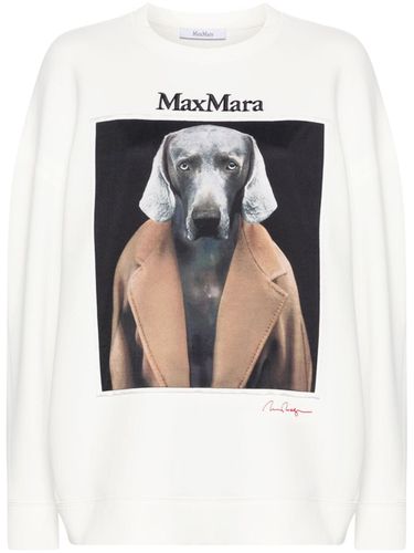 Printed Cotton Sweatshirt - Max Mara - Modalova