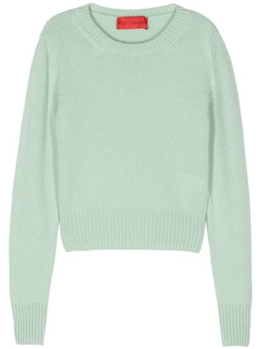 Simona Cashmere Sweater - Wild Cashmere - Modalova