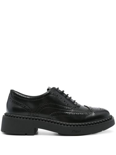 ASH - Mercer Leather Brogues - Ash - Modalova